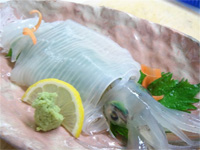 料理写真