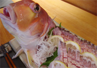 料理写真
