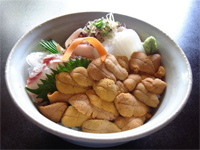 料理写真