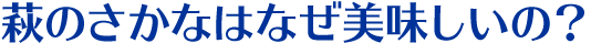 萩のさかなはなぜ美味しいの？