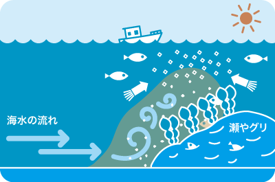 画像：瀬（天然礁）の図