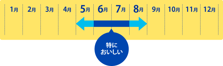 萩の瀬つきあじの旬は、5～8月（特に6～7月が美味しい時期）。