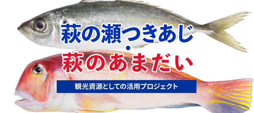 萩の瀬つきあじ・萩のあまだいの観光資源としての活用プロジェクト