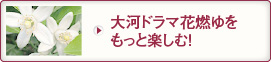 大河ドラマ花燃ゆをもっと楽しむ！