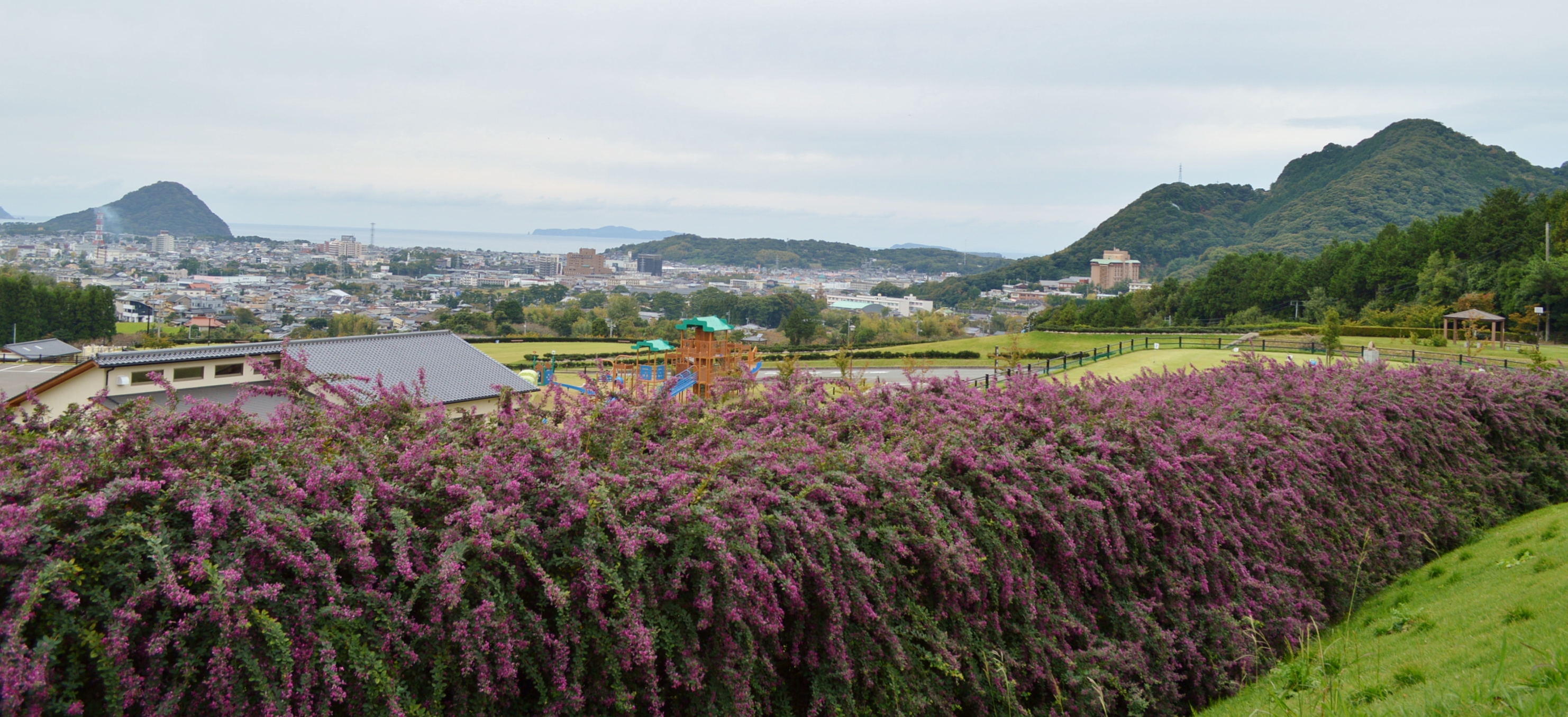 その他 萩市観光協会公式サイト 山口県萩市