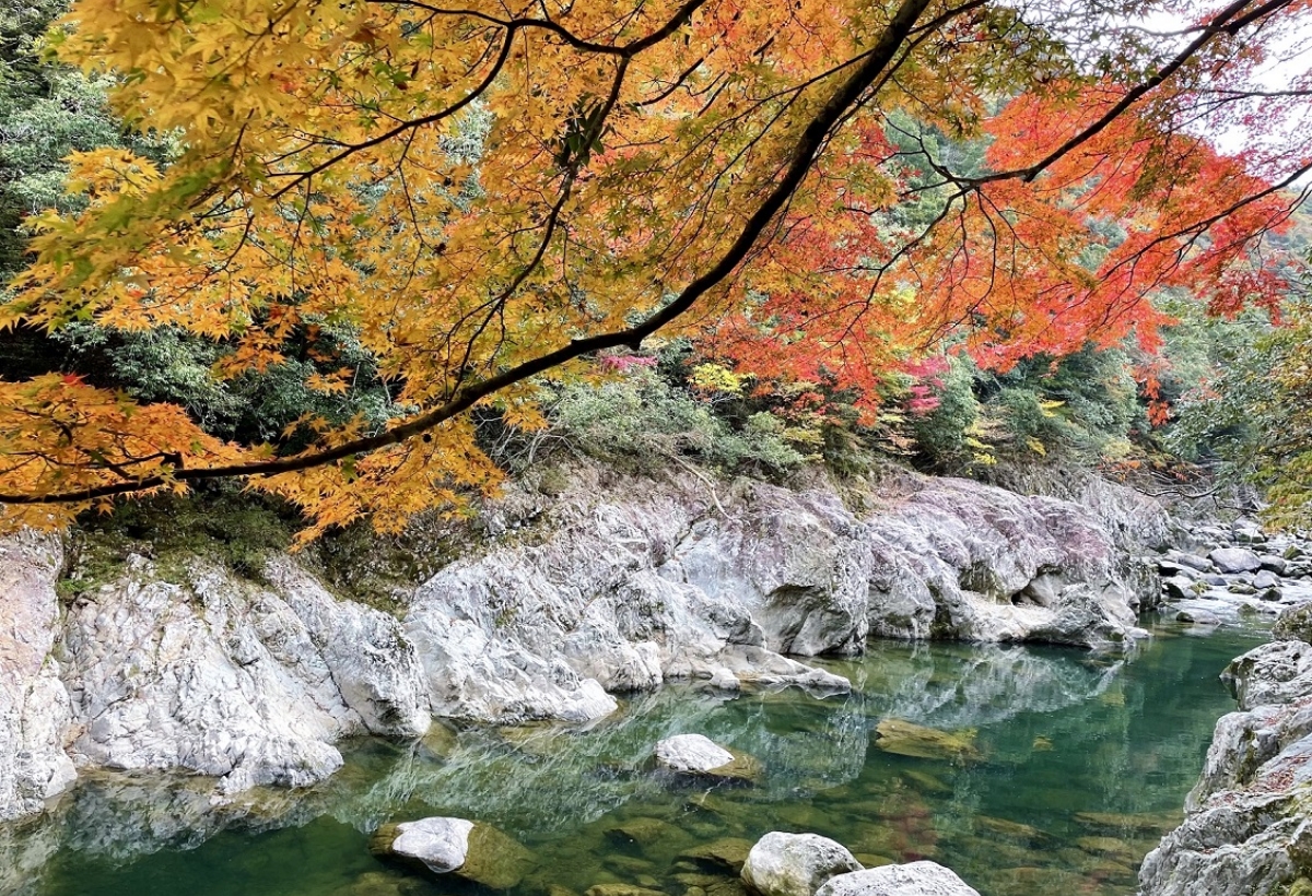 画像:藤田伝三郎