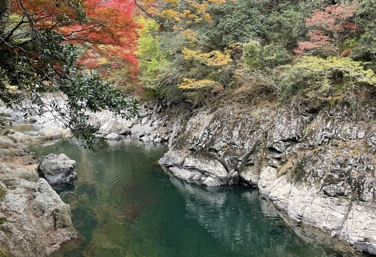 画像:藤田伝三郎