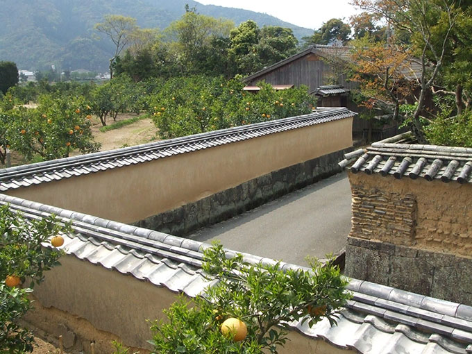 画像: