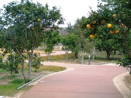 画像:かんきつ公園