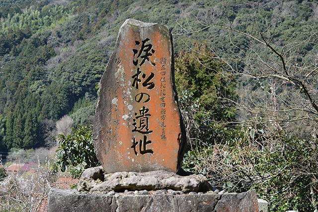 画像：涙松跡