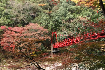 画像：吊橋