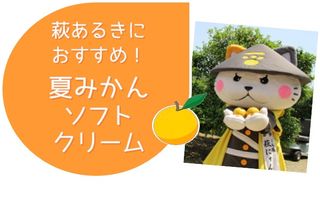 画像：おすすめ！萩の夏みかんソフトクリーム