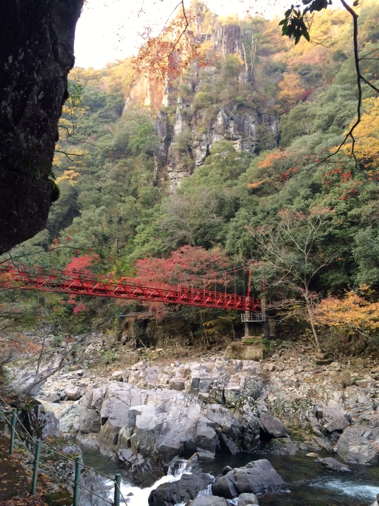紅葉だより 萩市観光協会公式サイト 山口県萩市 紅葉だより 萩市観光協会公式サイト 山口県萩市