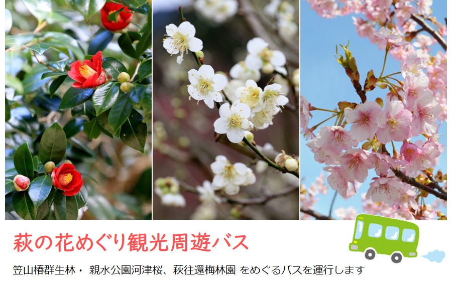 萩の花めぐりスポット 萩市観光協会公式サイト 山口県萩市