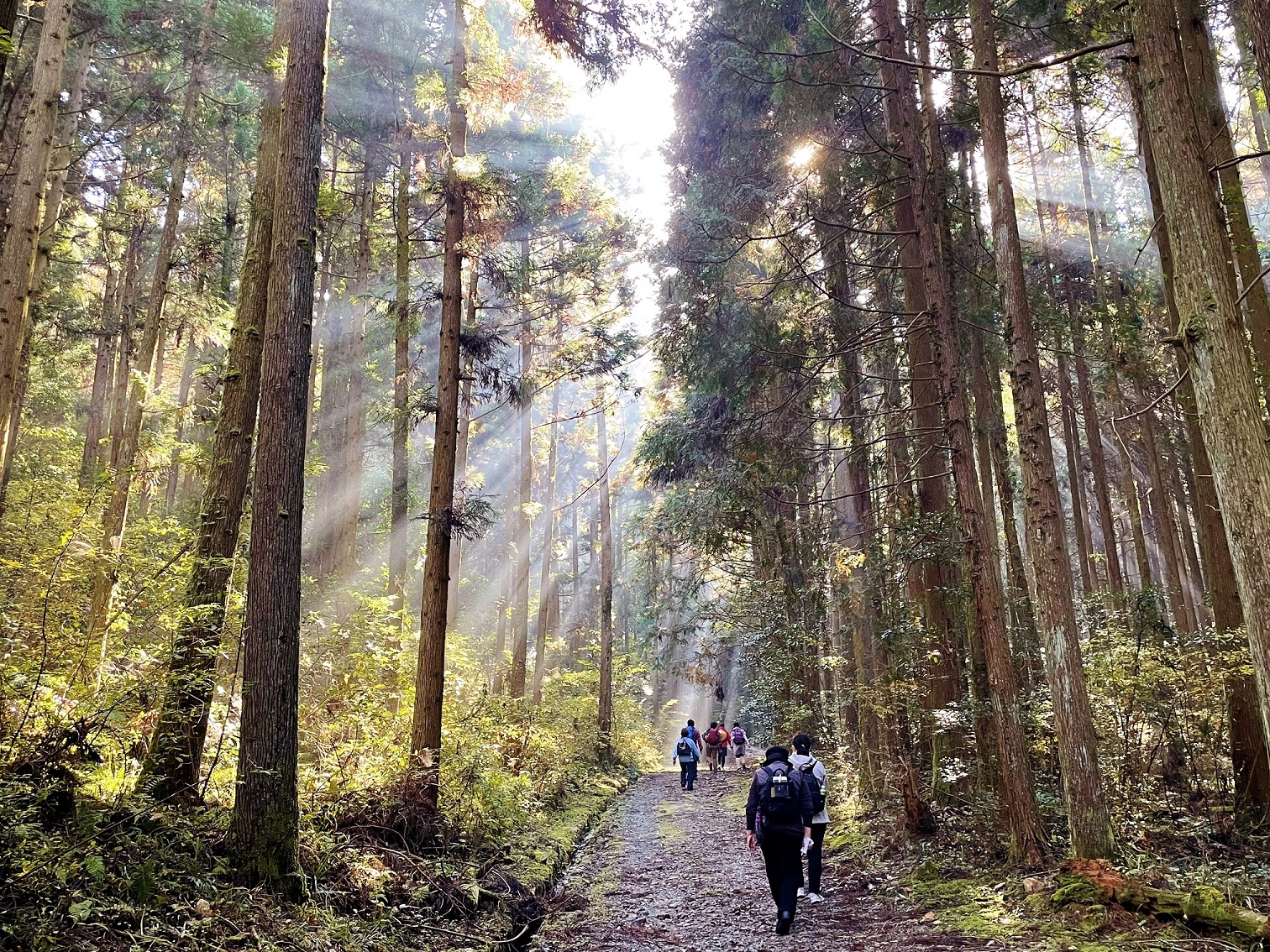 画像:萩往還ワンデーウオーク2026