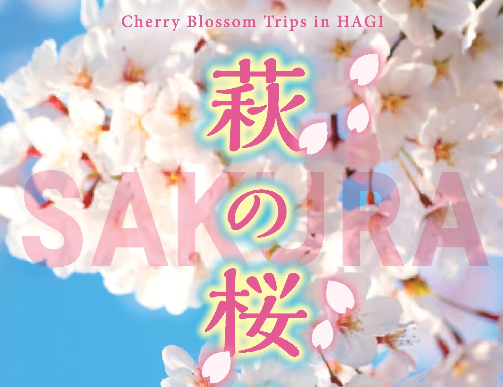 画像：萩の桜旅ガイドの表紙