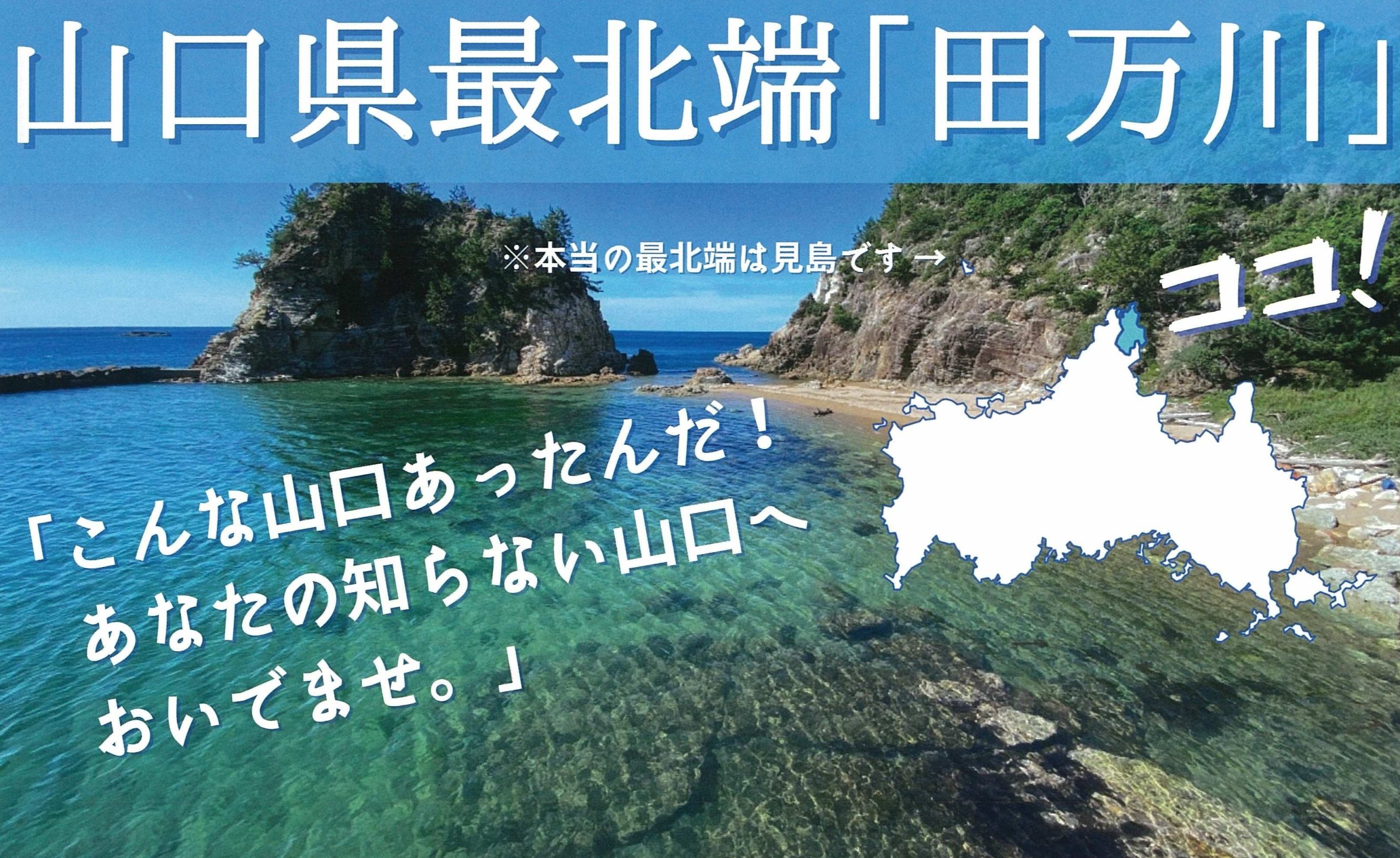 画像：たまがわの謎解き