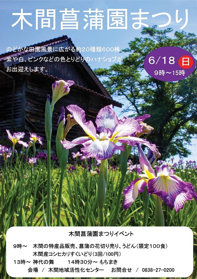 画像：木間菖蒲園まつり