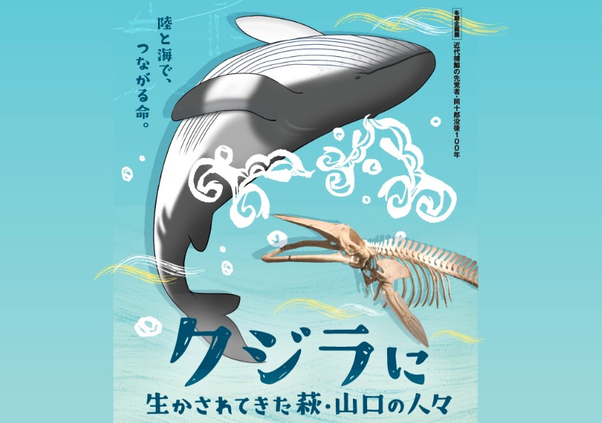 画像：【萩博物館】クジラに生かされてきた萩・山口の人々