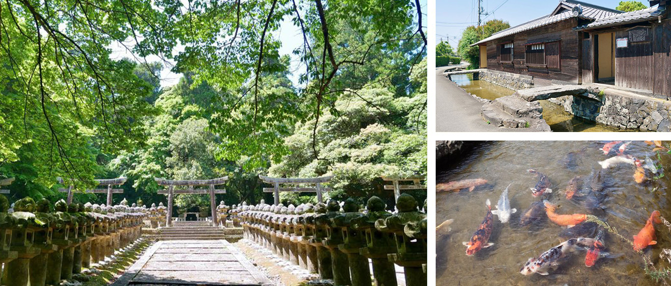画像:Other Area