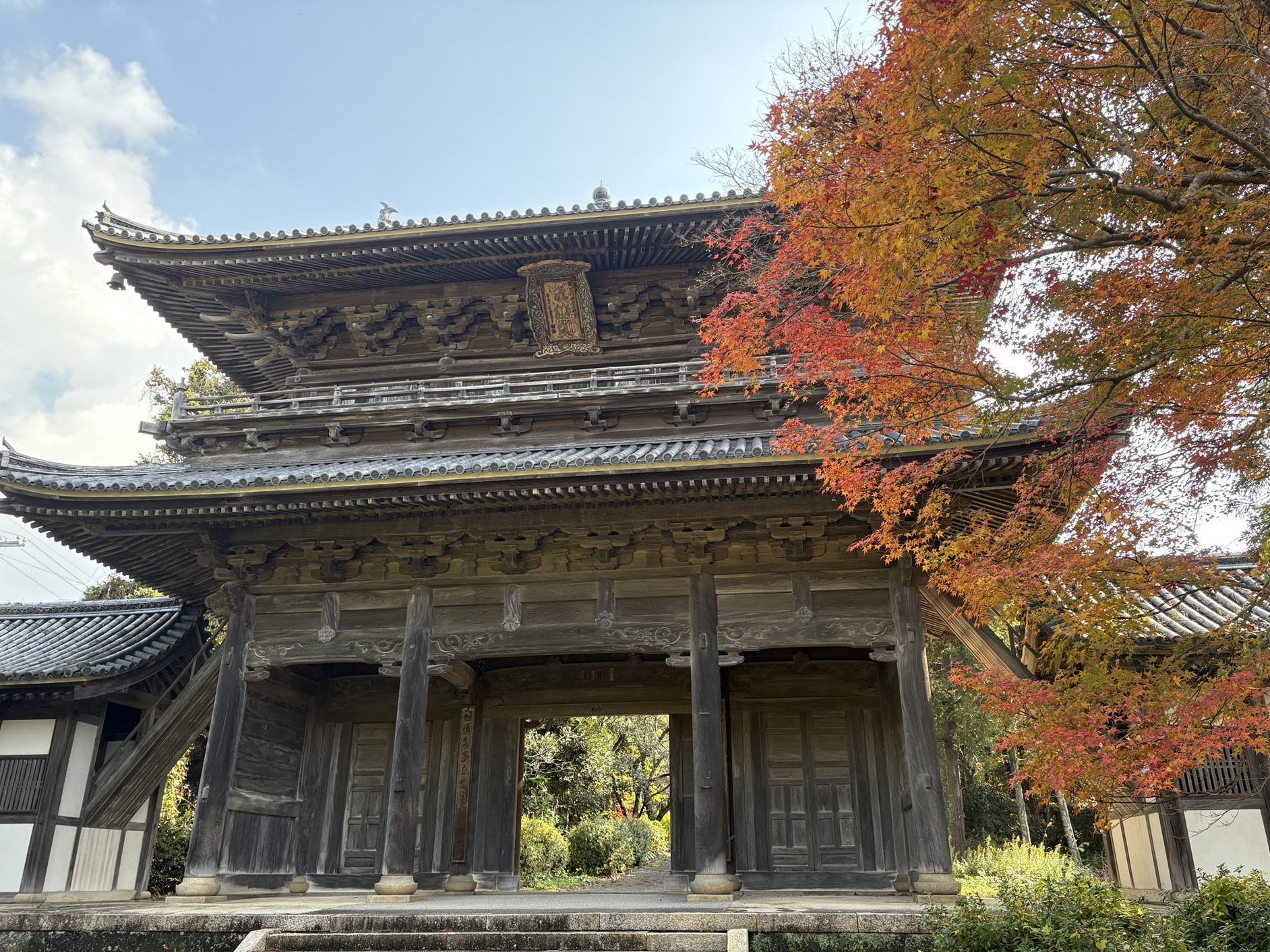 画像：紅葉の状況をお知らせします（2025）